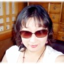 너구리의 피난처 이미지