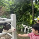 은찬목장 이미지