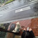 평택시 노동조합 | 바쁘다 바빠_9월