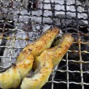 금빛장어 이미지