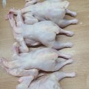 하림생닭 이미지