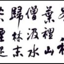 우죽 이미지