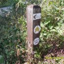 경기옛길 의주길 제5길 임진나루길 이미지