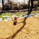 멍인더숲 목욕탕 이미지