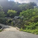 금강송계곡민박 이미지