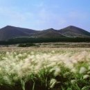 갈대2축구장 이미지