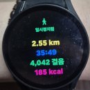 새해다짐 다이어트 151일차 (5개월후기)