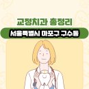 서강박치과의원 | 서울특별시 마포구 구수동 교정치과 총정리
