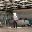 내일DO뽑기왕 | 도비이즈 프리여행 2 _ 포르투갈 (리스본 &amp; 포르투)