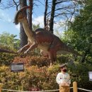 미호컴퍼니 이미지