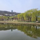 북서울꿈의숲 Daum카페