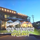 스테이나인 | 2026 숙박페스타 6월 양양 가성비 펜션 나인스테이 쿠폰 사용후기