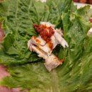 달빛에구운고등어원주우산점 이미지