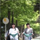 KT마산지점앞 이미지