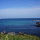 제주플래티늄카라반 이미지