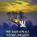 양심없는 사회 이미지