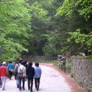 유럽 성지 순례 4) -이탈리아-라 베르나 : 성 프란치스코 성인이 수도와 고행을 하면서 오상을 받은 성지 이미지