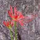 효창공원 이미지