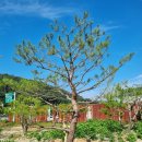 범우농장 이미지