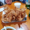 꼬꼬하우스 티스토리