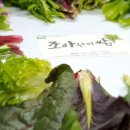 조아이벤트 네이버블로그
