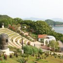 카멜리아 이미지