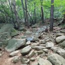 산스타(주) | 🏔️ 서산 팔봉산 등산기 | 봉우리는 8개, 제 체력은 3개였습니다