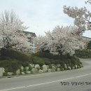 단국대 진입로 이미지