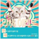 경락마사지 이미지