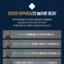해독센타 네이버블로그