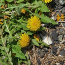 부산시립정신병원 이미지