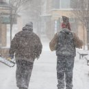 작은꿈들 이미지