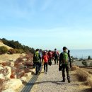 동해안연안녹색길 이미지