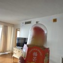 프로피셔스