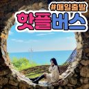 [속초여행] 주말에 다녀온 속초 가볼만한곳 일출 명소 영금정·동명항 회센터 코스 총정리