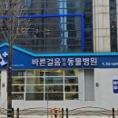 바른걸음 외과 동물병원 이미지