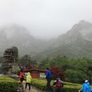 천황자동차야영장 이미지