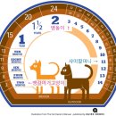 명지종합동물병원 이미지