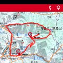 함안 영동리 회화나무 이미지