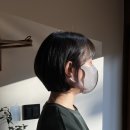 진온숲