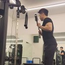 본정형운동