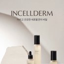 인셀덤 햇살 대리점 | 인셀덤장유점 선택하길 잘한듯