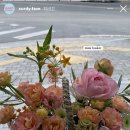 커디페이브