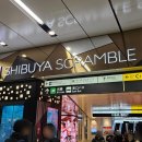 타임 | 도쿄 자유여행 :: 12월 스카이시부야 4시 40분 타임 후기