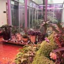 송산주막한우생고기전문점 이미지