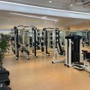 핏디렉터프라이빗PT포우먼