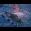 평영 팔 물 넓게 당기기(BREASTSTROKE - Wide Pull) 이미지