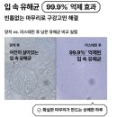 구성1로 1L | 엔하이픈도 반한 상쾌함! 리스테린 쿨민트 1L 3개 대용량 세트 사용 후기