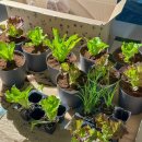 양지로105번길 이미지