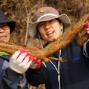 서원농장 이미지